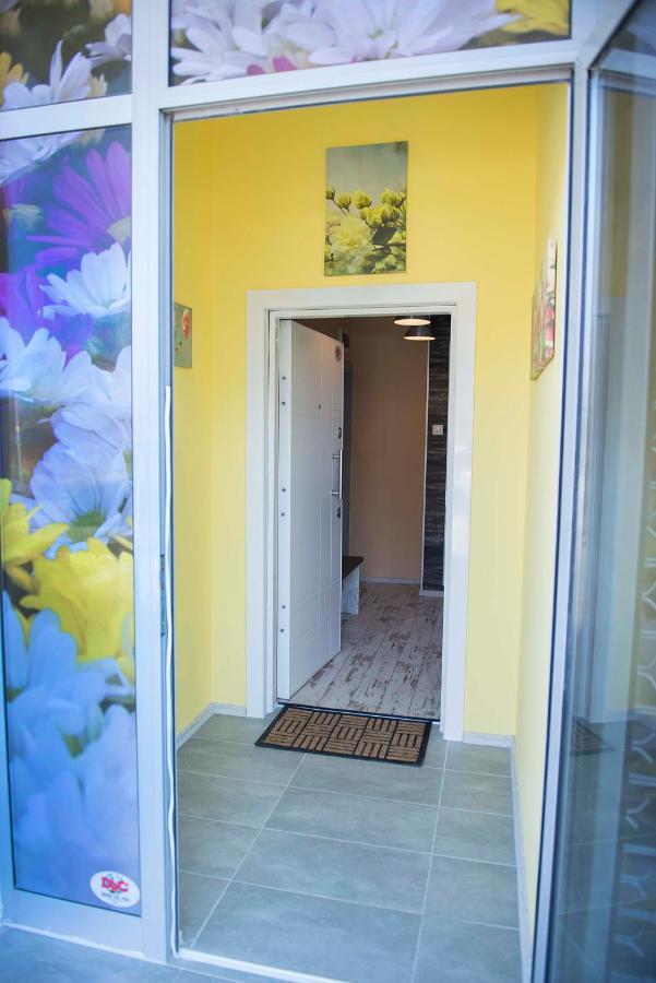 Flower House 1 * Софія